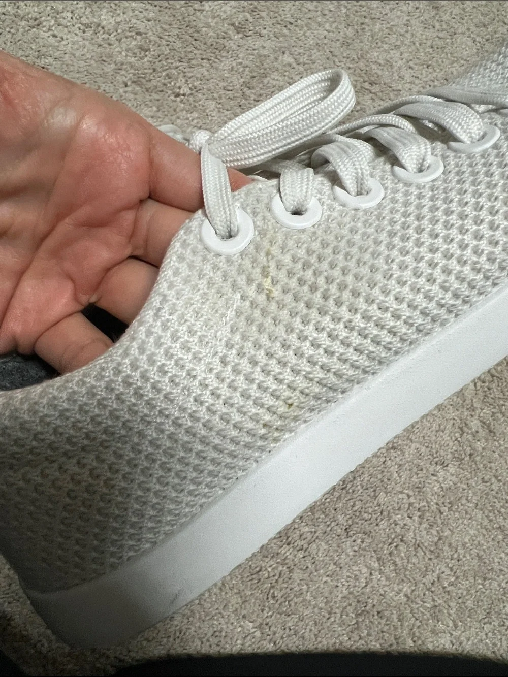 Allbirds Cruiser sneakers